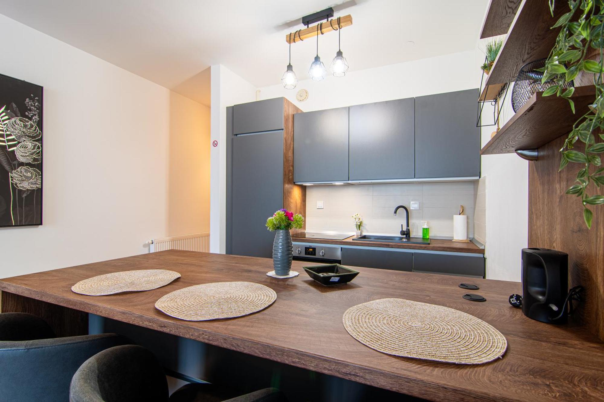 Flexible Selfcheckins 72 - - Garage - Loggia - New Apartment Zagreb